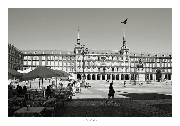 Plaza Mayor Plaza Mayor