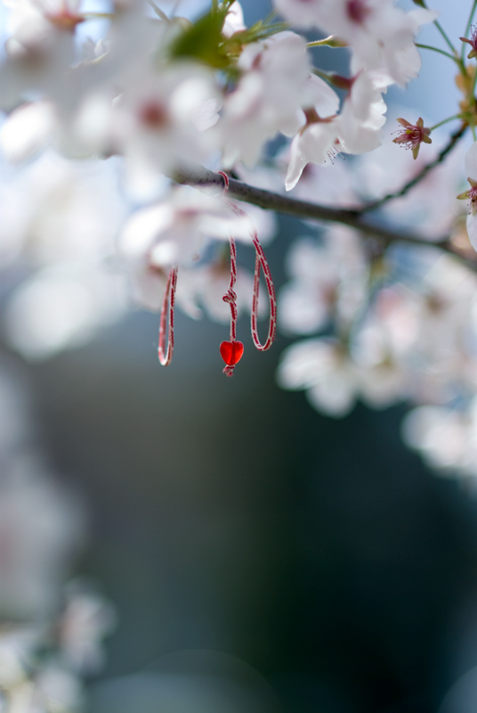 Spring..love