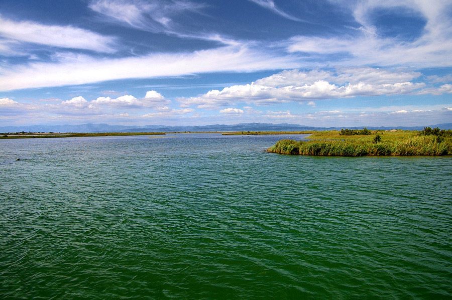 delta del Ebre - Spain