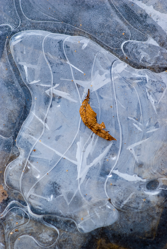 ice simphony ice simphony